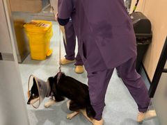 -萌兽医馆·犬猫专科·眼科中心·宠物医院(朝阳门分院)