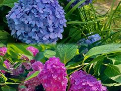 -常州古运河南大街文化旅游区-人民公园