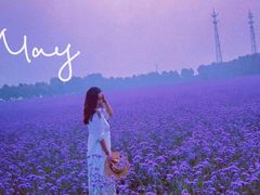 -北纬44度·金珠花海休闲农业旅游景区