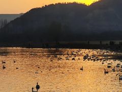 -西安浐灞国家湿地公园