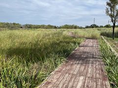-永定河休闲森林公园