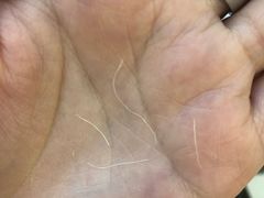 -喜茶(永旺梦乐城店)