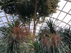 -龙口南山旅游景区