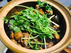-食爺炭炉鸡煲·烧烤