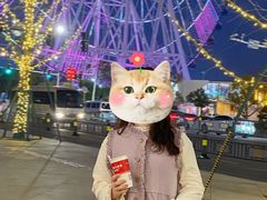 -南昌之星摩天轮