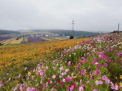 -草原天路(张北县)