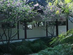 -上海醉白池公园
