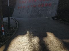 -广州市帽峰山景区