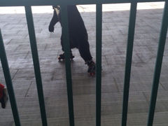 iphone_upload_pic-东方熊牧场