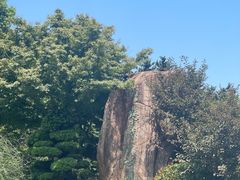 -昆山城市生态森林公园