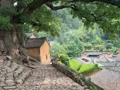 -杨家堂村