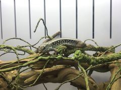 -昆明大悦城未来动物城(螺蛳湾中心店)