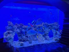 -太平洋海底世界