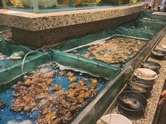 -初色海鲜自助(万丰路店)