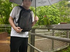 -新加坡飞禽公园