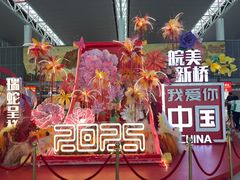 -合肥新桥国际机场-航站楼