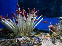 -福州罗源湾海洋世界旅游区