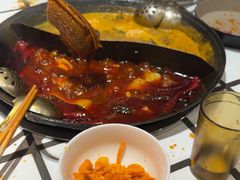 -朱光玉火锅馆(正弘城店)