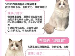 -爱侣·安琦尔宠物医院·中兽医针灸·心内科·狂犬免疫点(宝山区院)