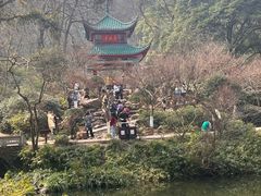 -岳麓山风景名胜区