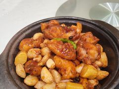 鸡翅煲-小贝壳酒楼(经九路店)
