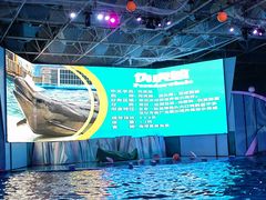 -海合安青岛极地海洋公园