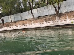 -皇家御河游(紫御湾码头)