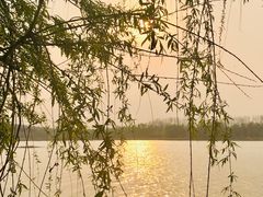 -洛阳市隋唐城遗址植物园