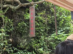 -飞天山旅游区