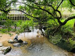 -阳台山森林公园