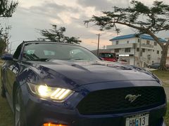 -丽姐租车