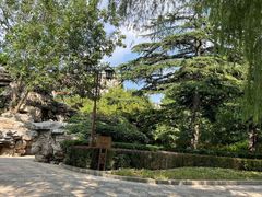 -团结湖公园