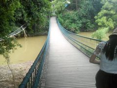 -南宁良凤江国家森林公园