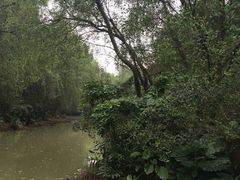 -大湾区中央湿地公园