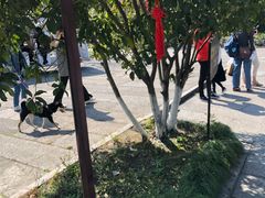 -湘湖大院(越王路店)