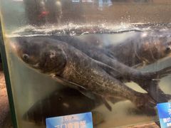 -上名堂·鱼头好吃(体育场路店)