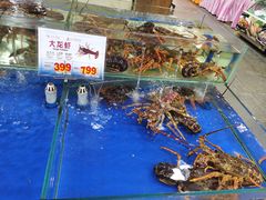 水产区-东江海鲜酒家(艺都分店)