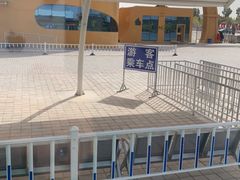 -金塔沙漠胡杨林景区