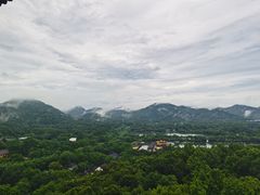 -雷峰塔景区