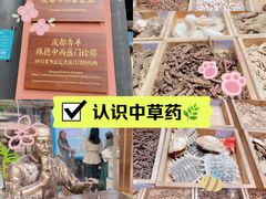 -殊德医馆
