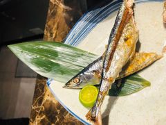 秋刀鱼-尚雅铁板料理自助餐厅(乐松店)