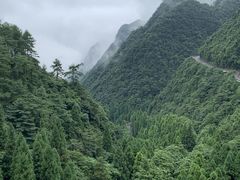 -娄山关景区