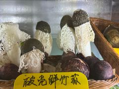 -正能量脆肉鲩火锅