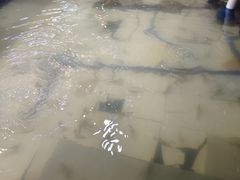 -小象钓虾·营地烧烤(洛溪店)