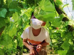 -中国杭州低碳科技馆