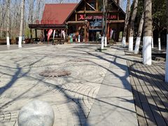 -合肥滨湖国家森林公园