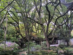 -上海醉白池公园