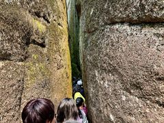 -五营红松林海景区