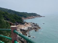 -广东惠东海龟国家级自然保护区
