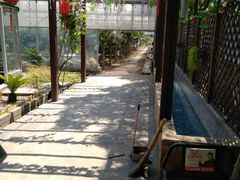 -美家乐农庄·露营·团建(大治路店)